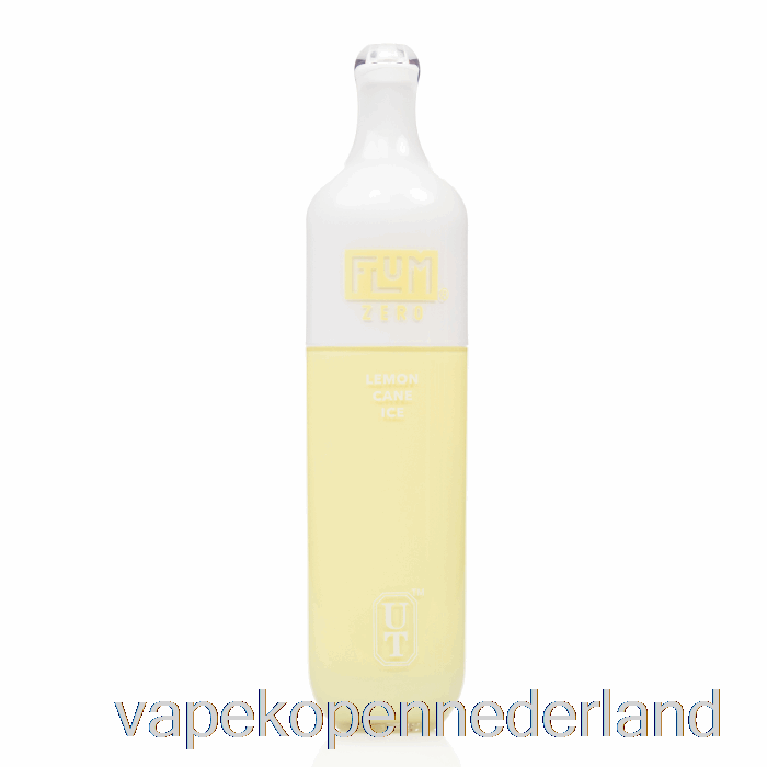 Elektronische Sigaret Vape Flum Float 0% Nul Nicotine 3000 Wegwerp Citroenrietijs